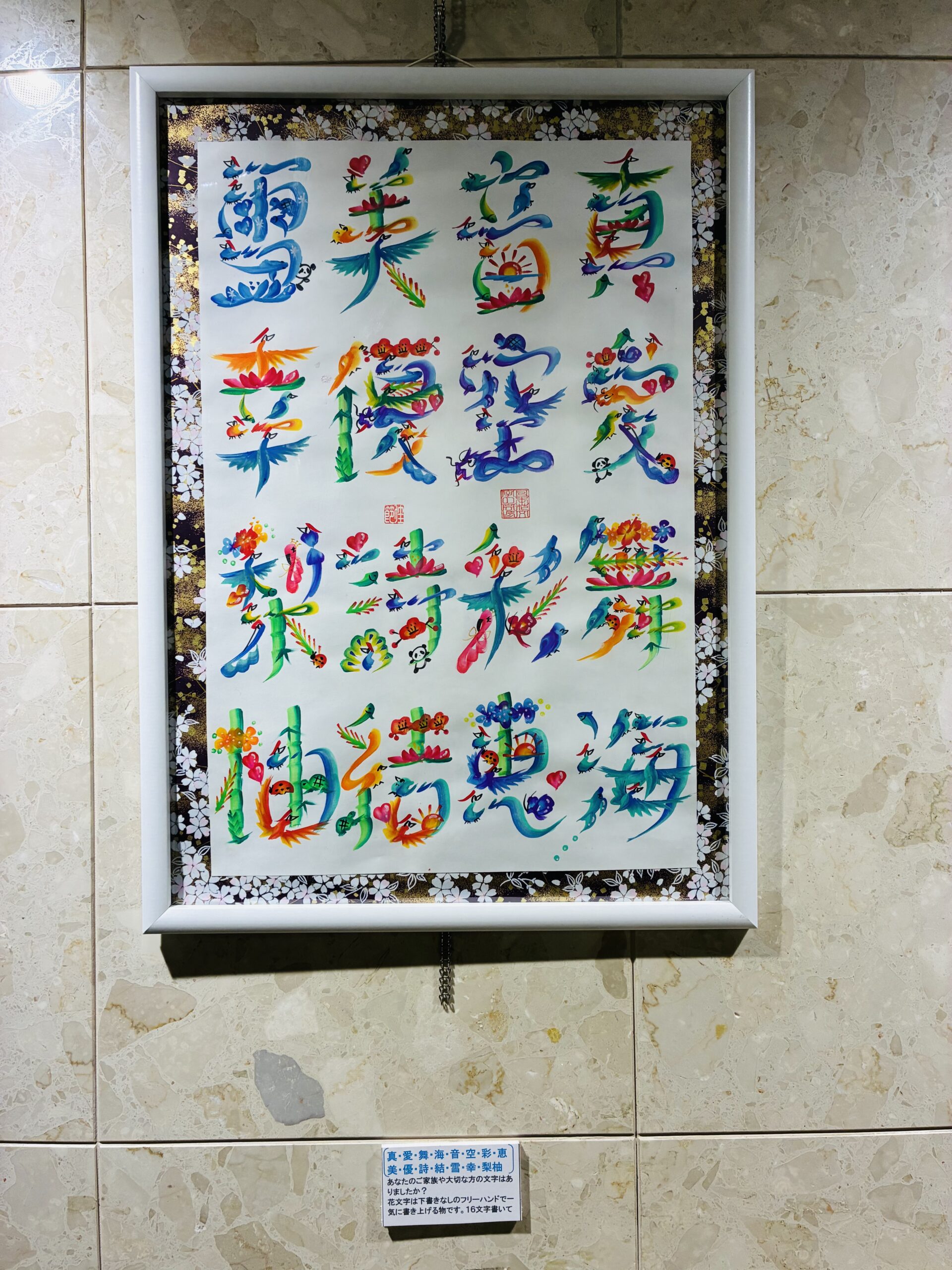 展示写真